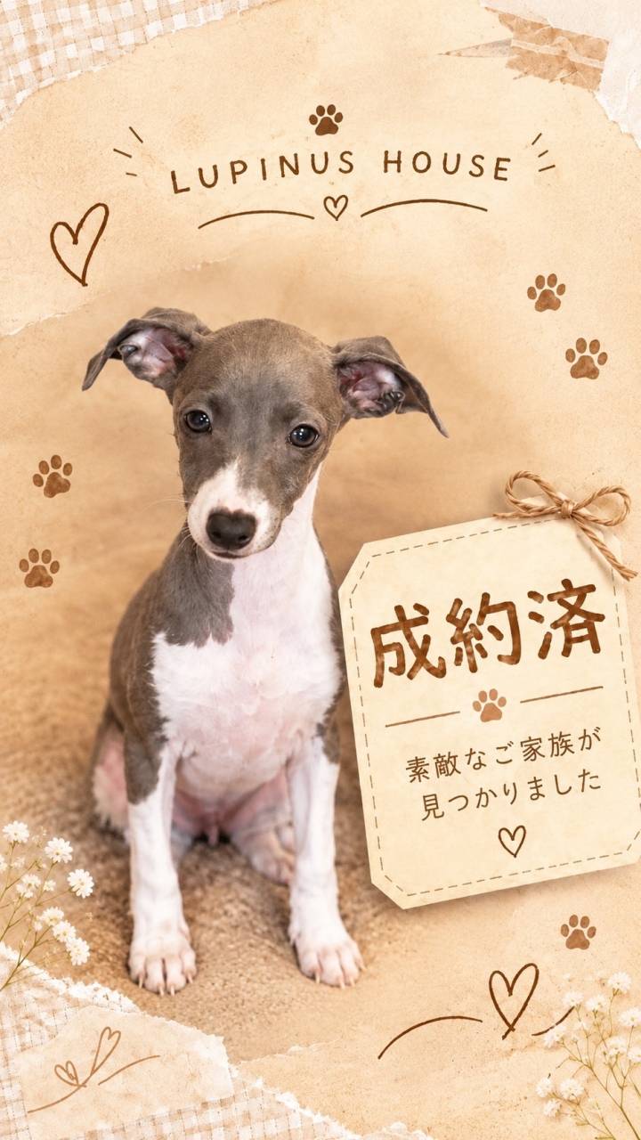 ご成約ありがとうございます!